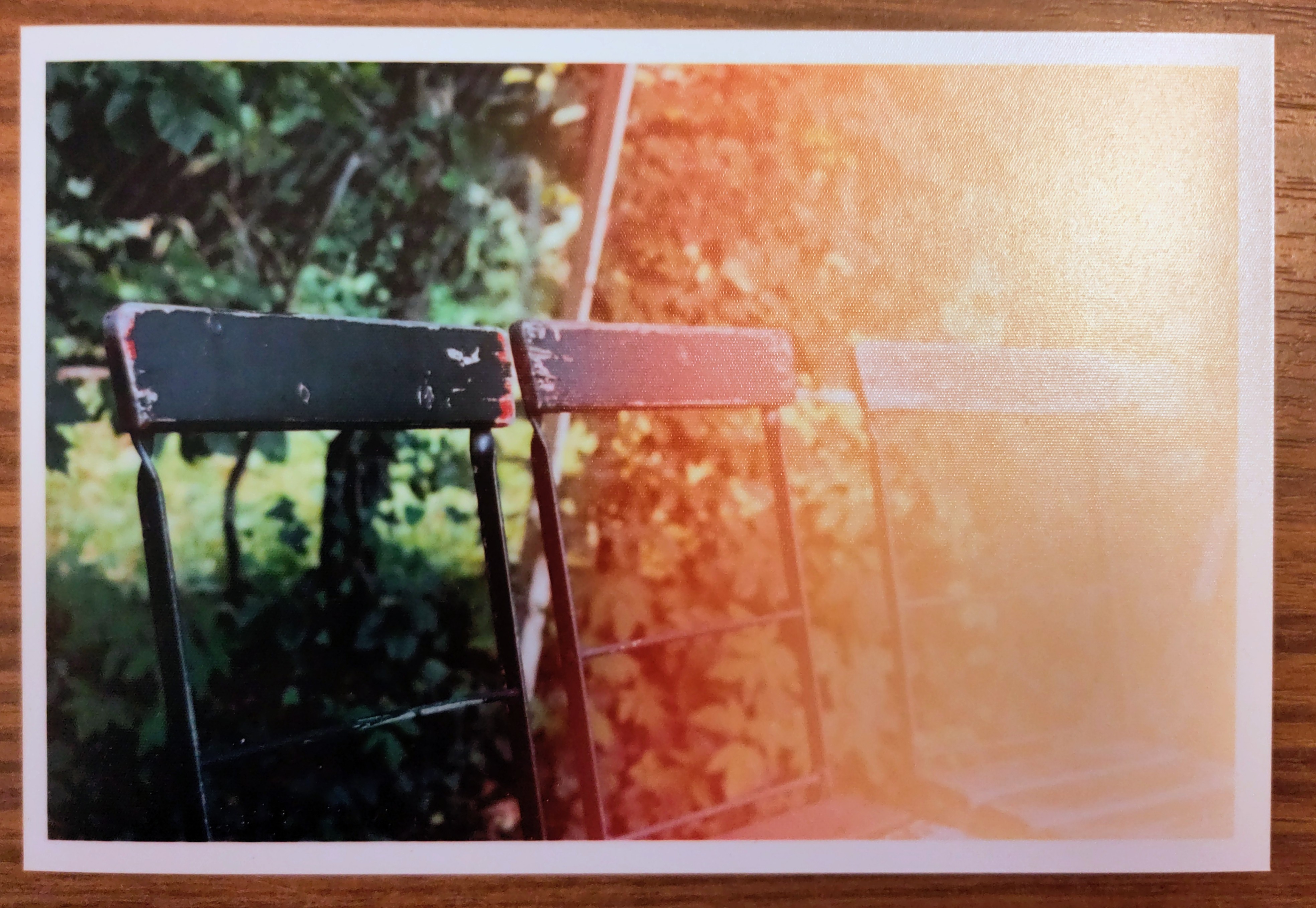 memories for memories of memories photograph 6
